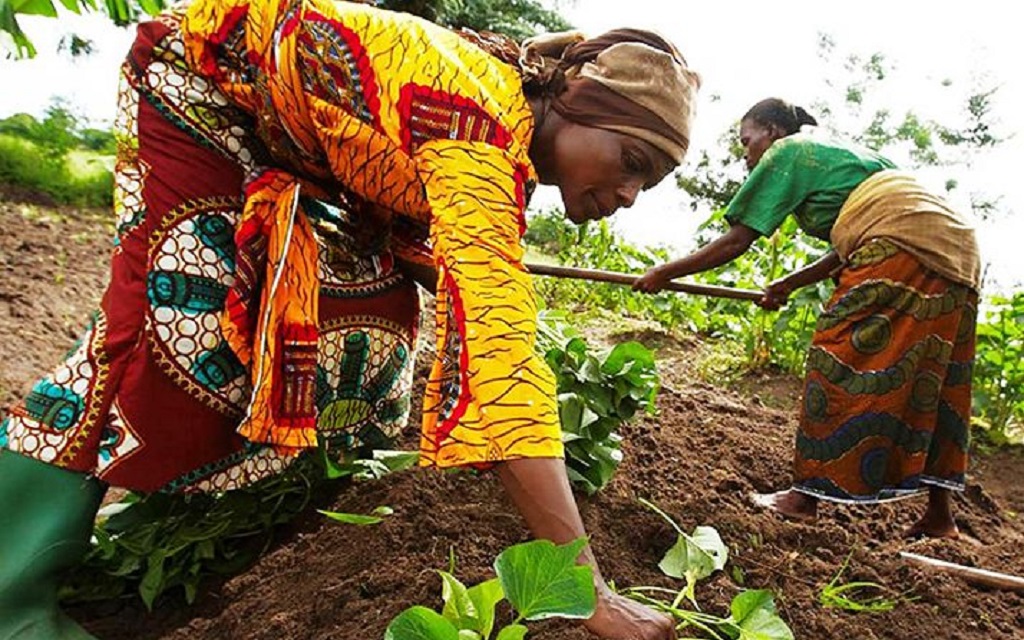 Food-policies in the making: stakeholder mapping and relationships in Ethiopia and Côte d’Ivoire