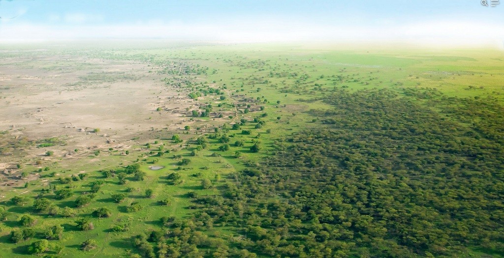 The Great Green Wall, a total device and interdisciplinary object