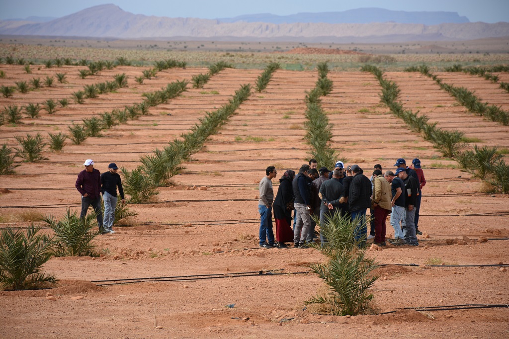 Multi-country-study on agricultural technology adoption