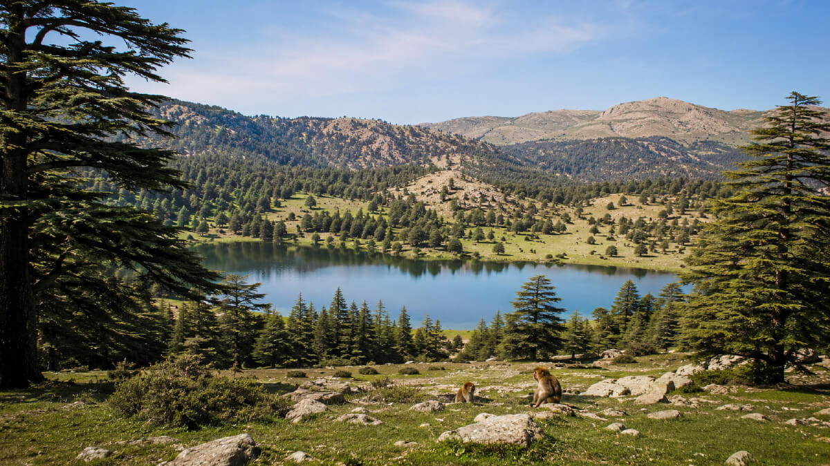 The dual burden of environmental public policy